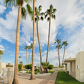 Courtyard with trees and lawns